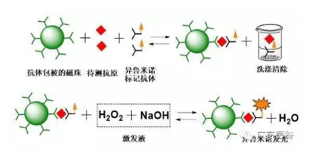 【兆恒机械】化学发光免疫分析技术-引领体外诊断行业